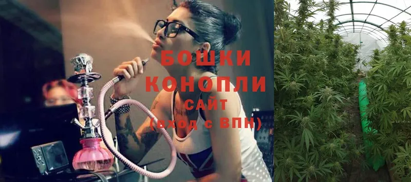 Шишки марихуана THC 21%  Белореченск 